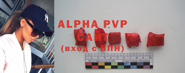 гашик Баксан